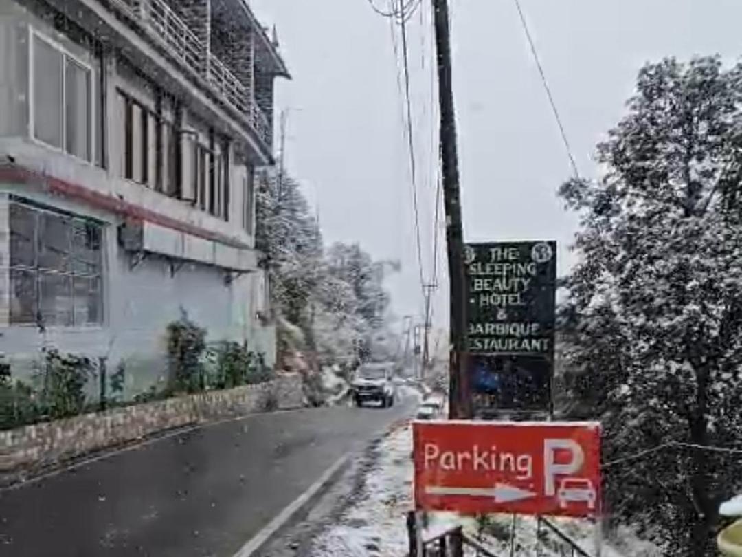 Sleeping Beauty Hotel Moutain View Property Joshimath Ngoại thất bức ảnh